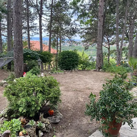 Kospela Holiday home *